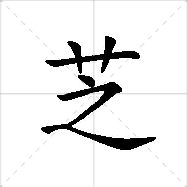 芝 名字